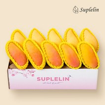 [수플린] 무지개망고&태국골드망고 10입 총 4kg 내외, 없음, 단품없음