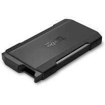 샌디스크 프로 블레이드 Transport SSD 엔클로저 홀더, SanDisk Pro-Blade 홀더