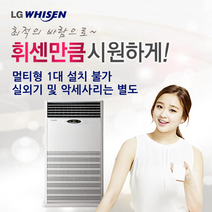 [LG전자] R-W2900P2S (80평형) 휘센 천장형 시스템에어컨 스탠드형 냉난방기 (실외기 별도)