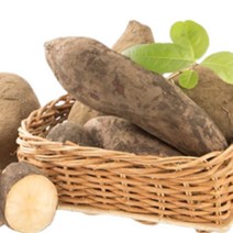 야콘 국내산 100% 햇 생야콘 생식용 즙용 최상품 3kg 5kg 10kg [디카운티], 05. 특품 5kg