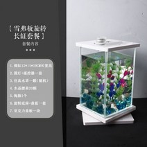 네온테트라 희귀열대어 새우키우기 어항꾸미기 루돌프구피 하프문베타 엔젤피쉬A09, 옵션16