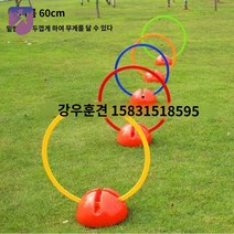 반려견 점프 장애물 허들 훈련 어질리티 세트, 점프 콤비네이션