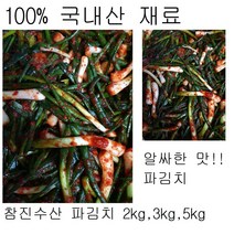 목포 참진수산 파김치 2kg 3kg 5kg 전국배송, 1