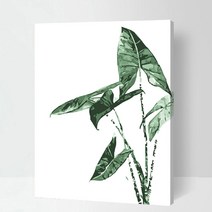 DIY 명화 그리기 유화 인물 고흐 동물 해바라기 그림그리기 세트, 03_식물(보테니컬)-B012  알로카시아
