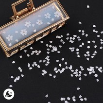 벚꽃 잎 스팽글 네일 레진 아트 공예 재료 R134, 레드