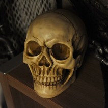 아트박스/파티해 고급 해골모형(두개골), 옵션선택:본품, 단품