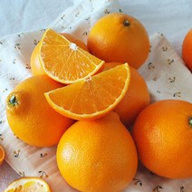 새콤달콤 향긋한 제주 황금향 3kg 중소과, 1개