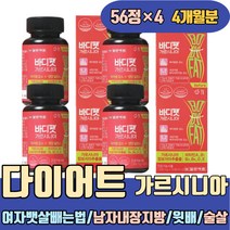 4주간 한달 다이어트 여자 뱃살빼는법 남자 내장지방 복부 피하 비타민 A D E HCA 줄이는법 윗배 허벅지 뱃살 복부 술살 하복부 저녁대신마시는 살빼기 살빼는방법 운동안하고