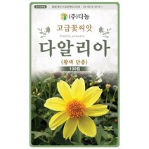 설악초 20립 - 초설초 야광초 야생화 씨앗 꽃씨 씨 꽃씨앗 야생화씨앗 고급꽃씨 고급꽃씨앗, 04_다농_다알리아(황색단층)(100립)