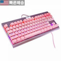 [GranVela 정품] Granvela E-yooso 핑크 Z-77 기계식 키보드 | 알루미늄 패널 촉각 브라운 스위치 무지개 LED 백라이트 N키 롤오버 87키 텐키리스 핫 스