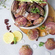 통영 홍가리비 비단가리비 참가리비 1kg, 홍가리비 1kg 25~30미