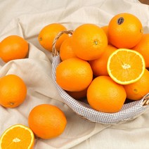 카페 착즙용 오렌지, 중대과(72), 72개입 (원물박스), 1개