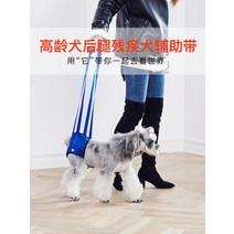 애완용품 슬개골탈구 장애견 다리밴드 휠체어 고령견년 노령개 뒷다리조력병 장애 마비된 강아지 보조대 척추후지, 03 살사, 03 M사이즈측정