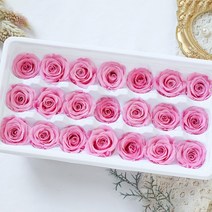 자연스러운 보존된 장미머리 2-3CM 미니 영원한 장미 미녀와 야수 영원히 선물 웨딩 파티 장식 21 개, 02 분홍색