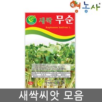 새싹 씨앗 모음 수경재배 식물키우기 홈가드닝, 새싹다채