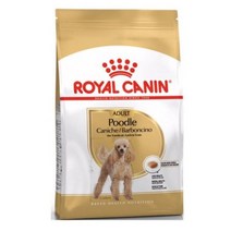 로얄캐닌 어덜트 푸들 강아지 사료 건식사료, 곡물, 500g, 1개