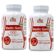 로직뉴트라 매스틱검 Mastic Gum 120캡슐 2통 LogicNutra