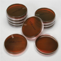 오피스안 세균배양배지(대장균용배양배지) 60mm SN221 pack 10ea