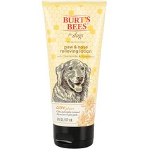 버츠비 케어플러스 릴리빙 포 앤 노즈 강아지 로션 카모마일앤로즈마리, 1개, 177ml
