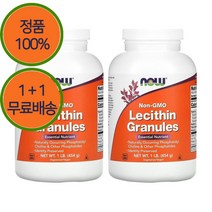 1+1 나우푸드 해바라기 레시틴 콜린 파우더 분말 가루 454g