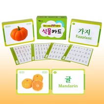 그린키즈 PP낱말카드_식물, 1개
