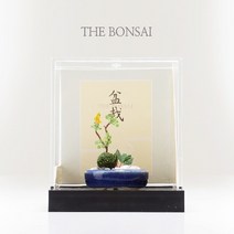 프로디아 미니여쳐 분재 소나무 삼나무 장식모형, 선택11 모음 (청색 타원화분)