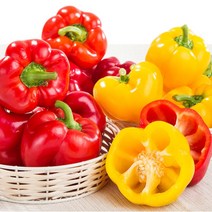 [이베따] 신선한 국내산 파프리카 1.5kg 3kg 5kg