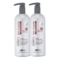 아이덴 프로폴리스 지성 일반 샴푸, 946ml, 2개