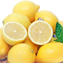레몬115입 추천