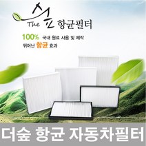 더숲 파티클 에어컨 히터필터, 1개