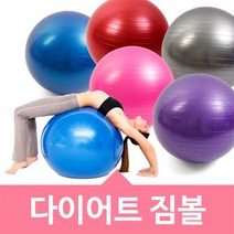 위시 짐볼(분홍)75cm + 발펌프, 분홍