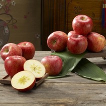 아침햇살 청송사과 정품 5kg, 9kg, 07정품-9kg(상품)[26~32과]-중과-할인중, 1개