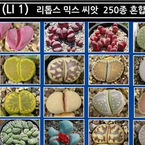 리톱스 나라 씨앗, (LI 1) 리톱스 믹스 씨앗 400립, 1개