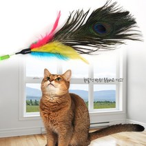 펫모닝 스윙캣 공작새 낚시대(PMC-352), 공작새 낚시대, 단품