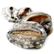 하늘뜰 완도 참전복 1kg 세트, 없음, 완도 참 전복 1kg(9-10마리)