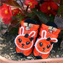 도기스쿨 애견 토끼신발, 주황