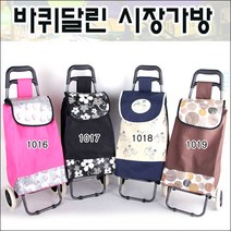 낭낭공주샵 바퀴달린시장가방 C1100 장바구니, 1018