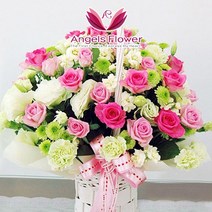 [엔젤스플라워] 축하 꽃바구니 공기정화 관엽식물 꽃배달서비스, F11_달콤한연인 일반형