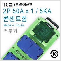 국제산전 방우2구콘센트 차단기 산업용 공업용 차단기 콘센트함, [선택09] 50Ax1 콘센트함 E52SL(벽부형)