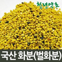천년약초 국내산 벌화분 350g, 1개