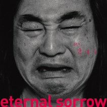 (LP) 한대수 - 8집 Eternal Sorrow (180g) (LP 카세트 테이프 500장 한정반), 단품