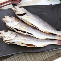 (할인이벤트중) 파란별건어물 [속초직송] 바다보양식 반건조 민어 (대서양 조기속) 34cm 민어조기, 34cm이상, 3미