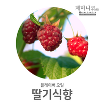 제미니상사 딸기식향, 1개, 50ml