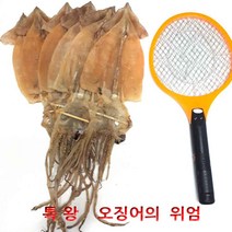 선물용 대형 건오징어 1.25kg 10마리, 1팩