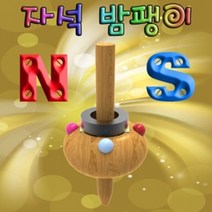 자석 밤팽이(자석의 성질)