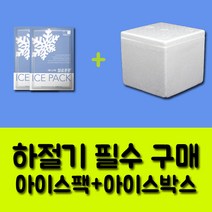 펫토랑 강아지 수제 간식, 1박스, 아이스팩+아이스박스