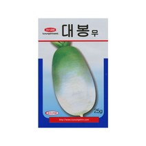 대봉무씨앗 30g, 1개