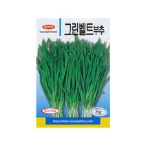 경신그린벨트부추씨앗 8g