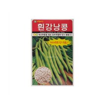 흰강낭콩씨앗 30g