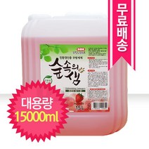 숲속의샘 주방세제 15L - 은은한딸기향 대용량, 1개